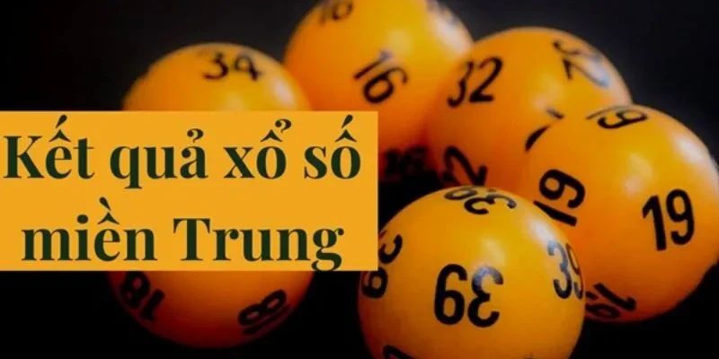 Trực Tiếp Đá Gà Thomo: Trải Nghiệm Thú Vị và Đầy Cảm Xúc